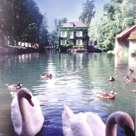 Le Grand Monarque - Hotel